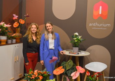 Anthurium Info is een promotiecollectief voor ongeveer 25 verschillende anthuriumkwekers (zowel snijbloemen- als plantenkwekers). Voor het eerst stonden de kwekers als collectief op de beurs. Op de foto Debbie Olsthoorn en Anouk de Hoog.